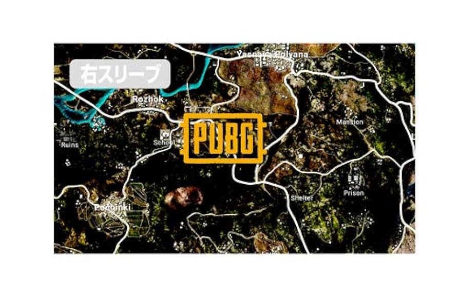 PUBG　Ｔシャツ Amazon.co.jp: PLAYERUNKNOWN'S BATTLEGROUNDS PUBG 両面フル